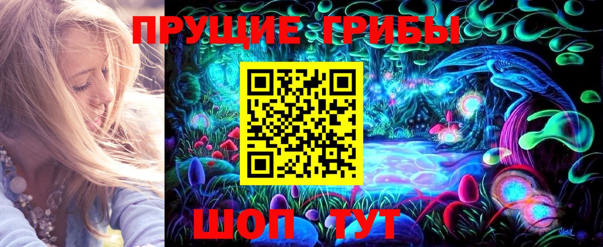 Славгород  Псилоцибиновые грибы мицелий  Вход с VPN 