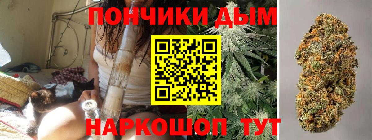 Канабис гибрид Славгород
